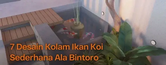 kolam ikan sederhana