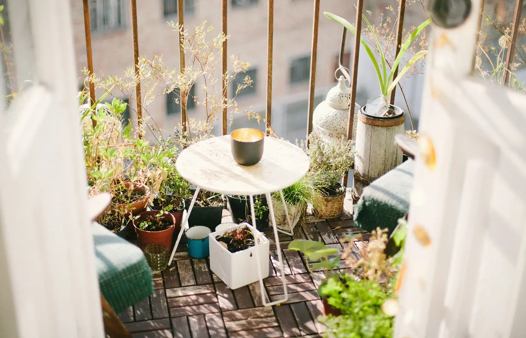 Mini Garden