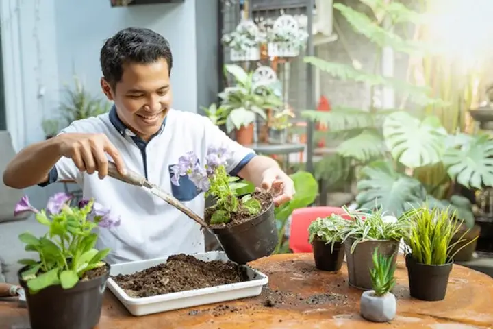 Cara Menata Bunga di Teras Rumah Sederhana